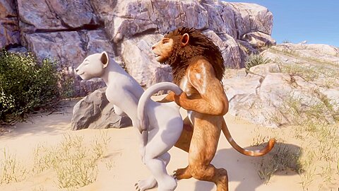 Wild Life Game – Kira X Kral / 2